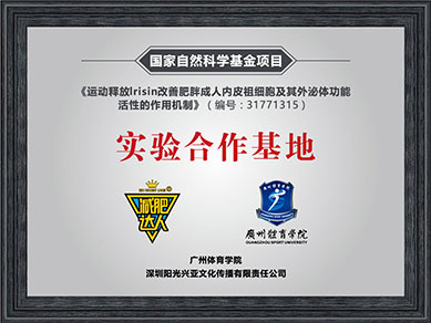 榮譽(yù)證書(shū)