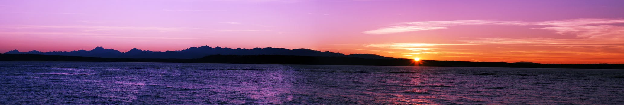 減肥訓(xùn)練營(yíng)