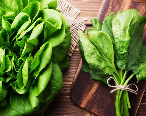 深圳減肥訓(xùn)練營(yíng)，減肥夏令營(yíng)