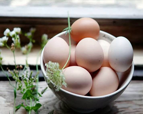 深圳減肥訓(xùn)練營(yíng)，減肥夏令營(yíng)