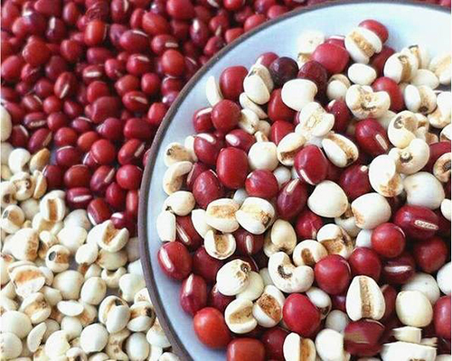 深圳減肥夏令營，減肥夏令營