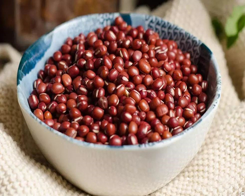 減肥訓(xùn)練營，減肥夏令營