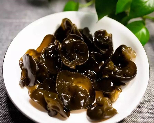 減肥訓(xùn)練營，減肥夏令營