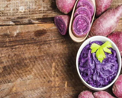 減肥夏令營，減肥訓練營