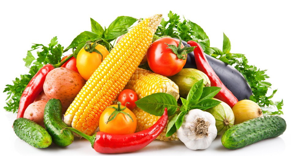 福州減肥訓(xùn)練營(yíng)