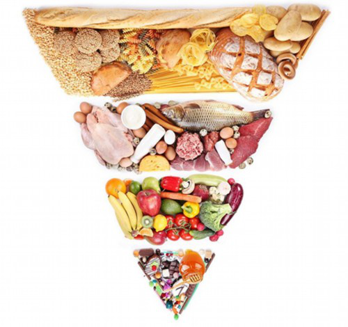 獻(xiàn)縣減肥訓(xùn)練營