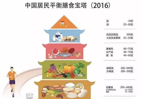 減肥訓練營價格