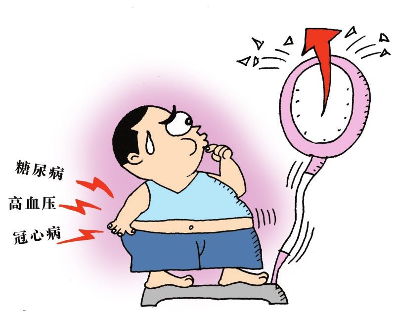 全國十大減肥機構排名